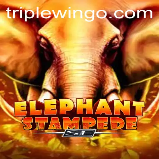 ElephantStampedeSE: The Exciting World of TripleWin