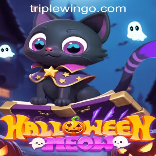 The Enchanting World of HalloweenMeow